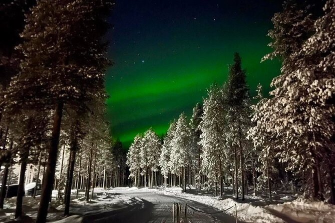 1 Day Pass Lapland Winter Park in Rovaniemi - Reindeer feeding and the gentler side of Lapland