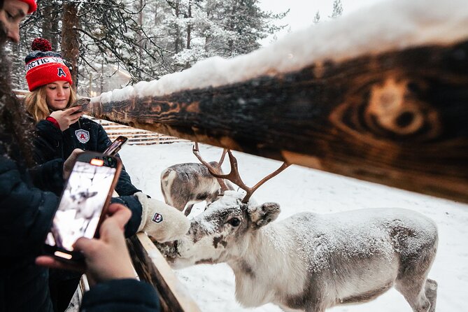 1 Day Pass Lapland Winter Park in Rovaniemi - Fire huts, the Kota Restaurant, and warm breaks