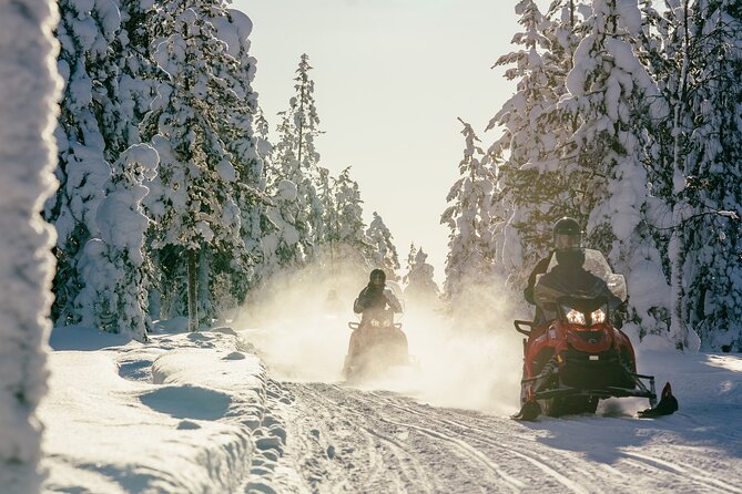 1 Hour Easy Snowmobile Safari in Levi - Through Snowy Forests and Across Frozen Lakes