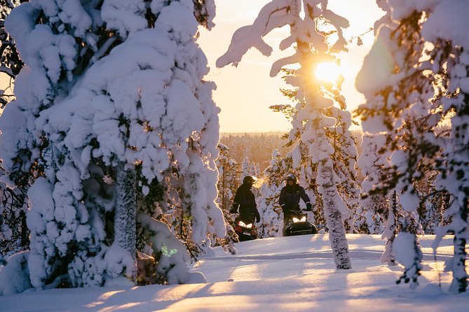 1-Hour Snowmobile Safari Experience - The first stretch through snowy forest