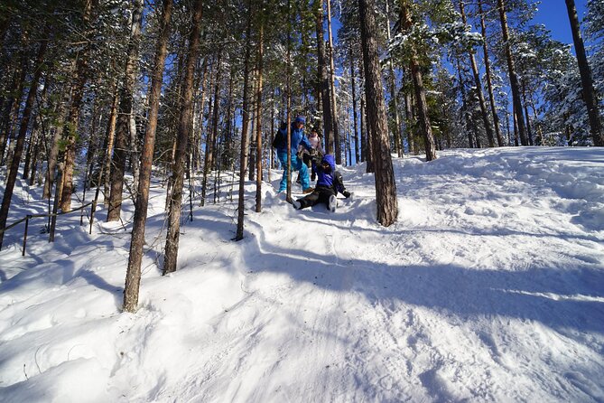 10 km Authentic Husky Safari in the Taiga Forest – Family Kennel - Key points to know before you book