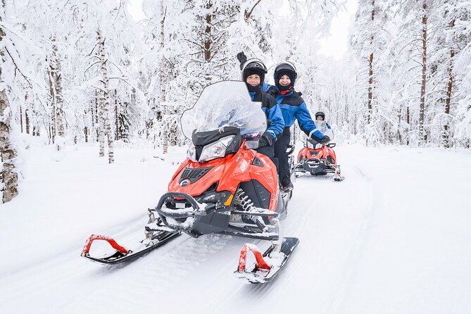 2 Hours Snowmobile Safari to the Levi Nature - Key points to know before booking