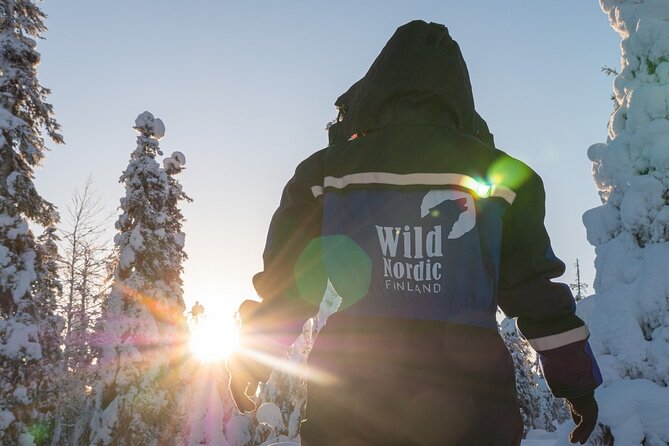 2 Hours Snowmobile Safari to the Levi Nature - The equipment, guide, and safety approach