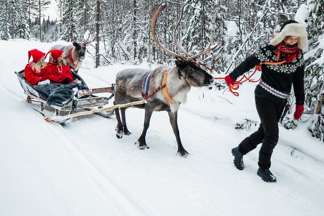 2km Sleigh Ride & Feeding Experience at Traditional Reindeer Farm - Who will enjoy this farm visit most