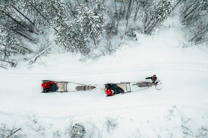 2km Sleigh Ride & Feeding Experience at Traditional Reindeer Farm - The 2-kilometer sleigh ride through snowy forest