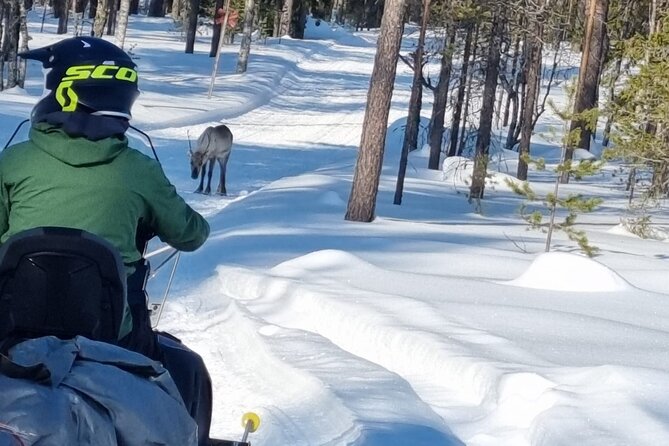 3 Days Raid Snowmobile in Finnish Lapland - What the private format changes