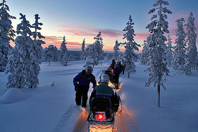 3-h Northern Light Safari by Snowmobiles From Levi - A Family Option With Clear Age and Height Rules
