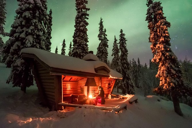 3-h Northern Light Safari by Snowmobiles From Levi - Is $222.29 a Fair Price?