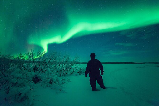 3-h Northern Light Safari by Snowmobiles From Levi - What the Strong Praise Gets Right