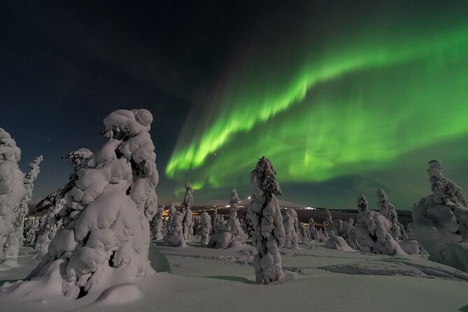 3-h Northern Light Safari by Snowmobiles From Levi - Waiting for the Aurora in Levi’s Dark Forest