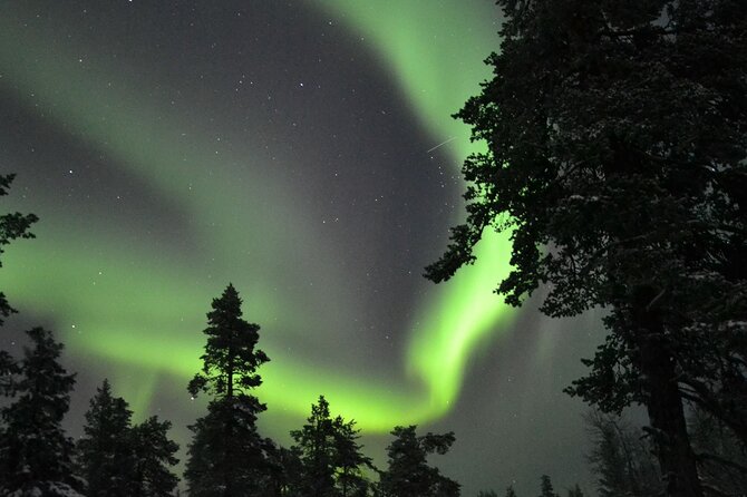 3-Hour Snowmobile Safari to Search Northern Lights in Levi - Who will enjoy this safari most