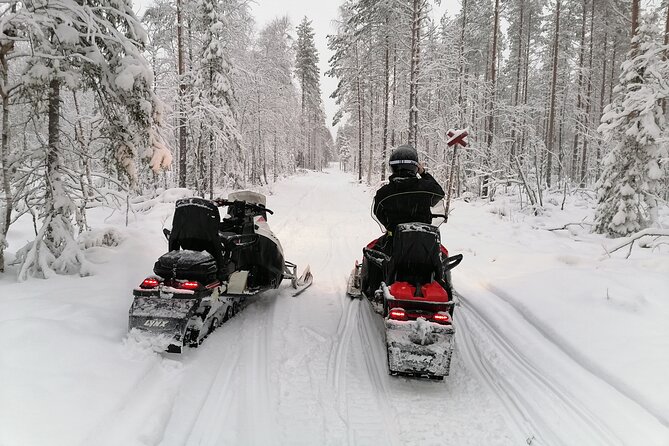 3H Private Snowmobile Experience in Rovaniemi's Forest - Who will enjoy this most?