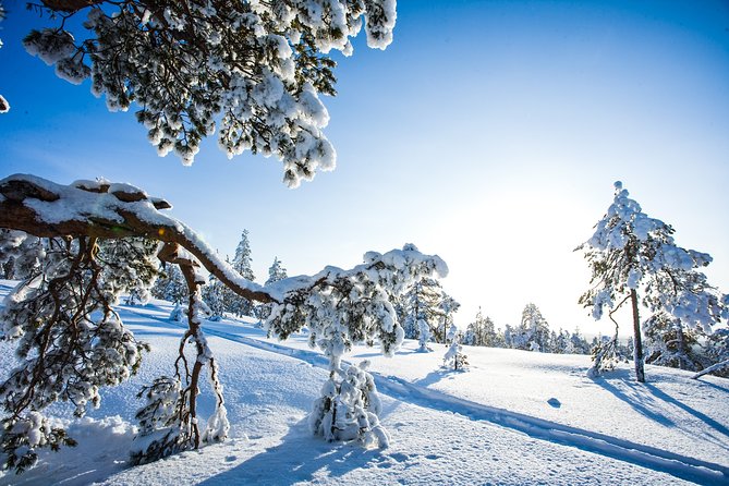 All Day Snowmobile Driving - What the $319.50 price really covers