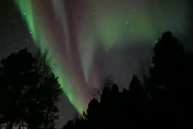 An Evening in the Backcountry, Northern Lights on a Sleighride - Why the guide matters more than a promise