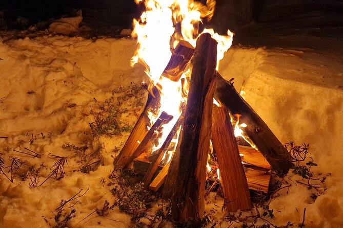 An Evening in the Backcountry, Northern Lights on a Sleighride - The weather rule you should take seriously