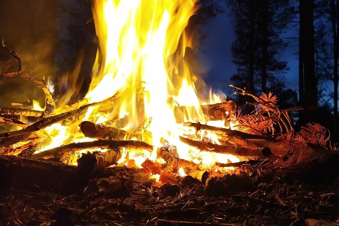 An Evening in the Backcountry, Northern Lights on a Sleighride - Is $465.26 fair for up to four people?
