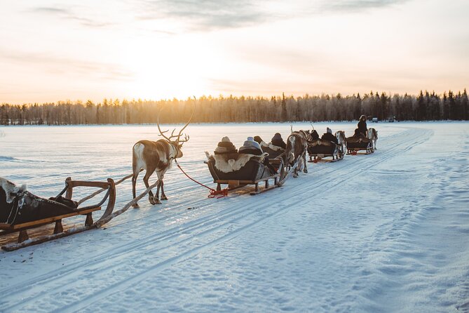Apukka Reindeer Journey - Starting at Apukka Resort Outside Rovaniemi
