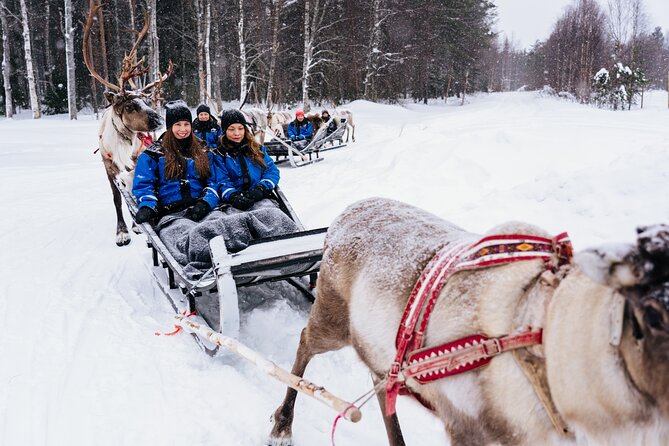 Apukka Reindeer Journey - Timing, Clothing, and Practical Planning