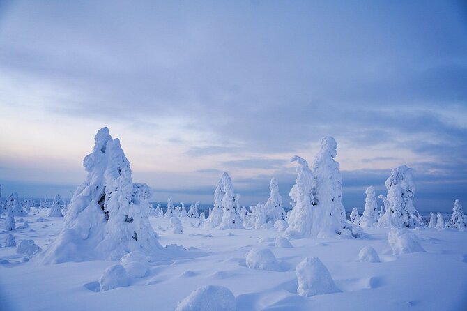 Arctic Adventure through Magical Frozen Forests of Riisitunturi - Key points to know before you go