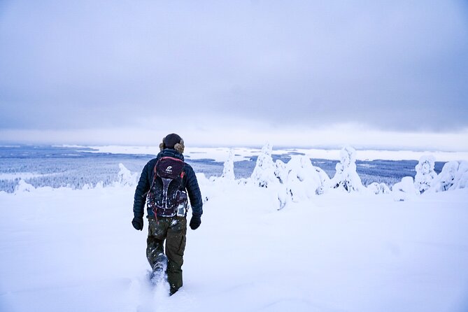 Arctic Adventure through Magical Frozen Forests of Riisitunturi - Why Riisitunturi is worth the long ride