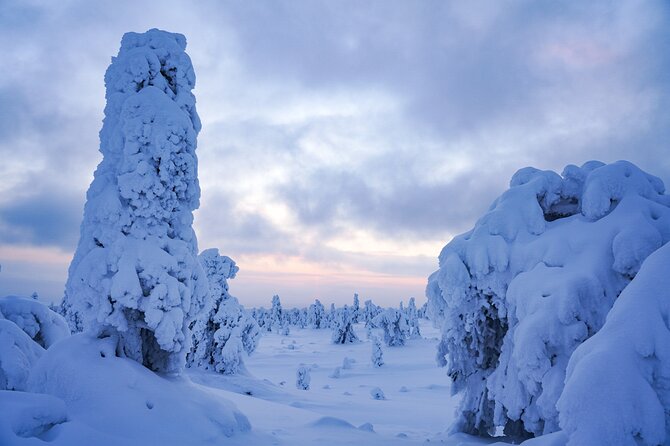 Arctic Adventure through Magical Frozen Forests of Riisitunturi - Warming up beside a Finnish campfire