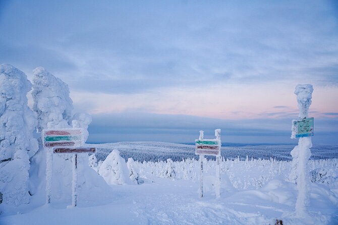 Arctic Adventure through Magical Frozen Forests of Riisitunturi - Timing, meeting point, and cancellation details