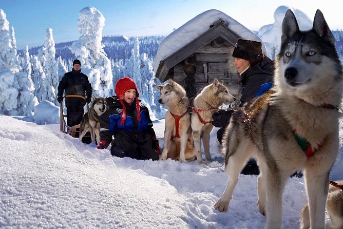 Arctic Circle Family Day - The guide can shape the whole day