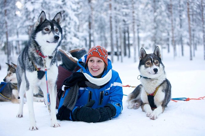 Arctic Circle Family Day - Starting with huskies in the forest