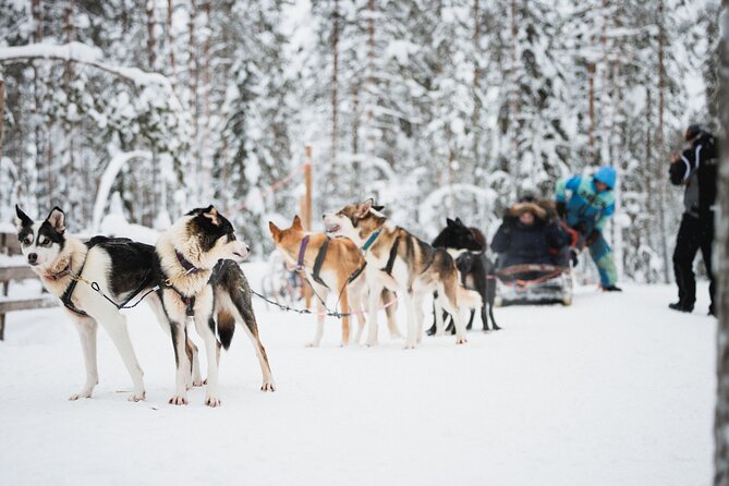 Arctic Circle Highlights Family Day - Starting in Rovaniemi with winter clothing provided