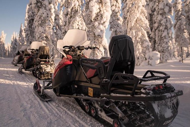 Arctic Circle Snowmobile Safari for Beginners in Rovaniemi - What happens during the hour