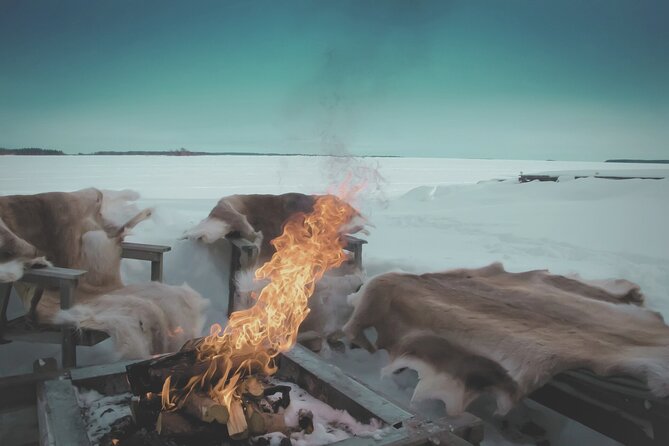 Arctic Darkness & Starlight Adventure with Snowshoes - Waiting for the Northern Lights