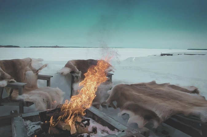 Arctic Darkness & Starlight Adventure with Snowshoes - Who Will Enjoy This Most