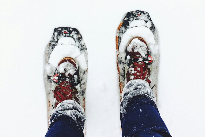 Arctic Darkness & Starlight Adventure with Snowshoes - Snowshoes, Headlights, and Easy Terrain