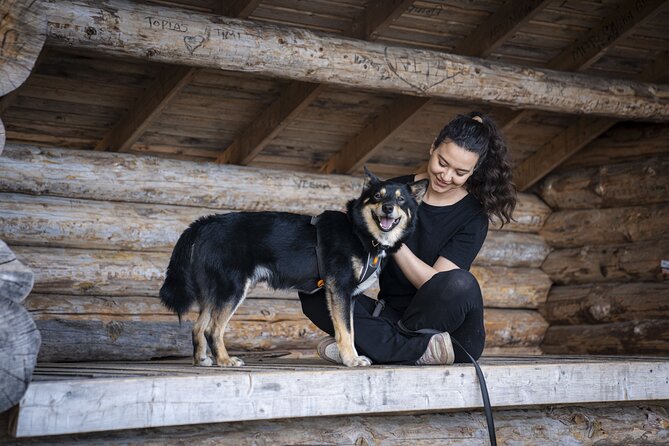 Arctic Hiking with Lappish Dogs - Sharing one hunting dog with two or three people