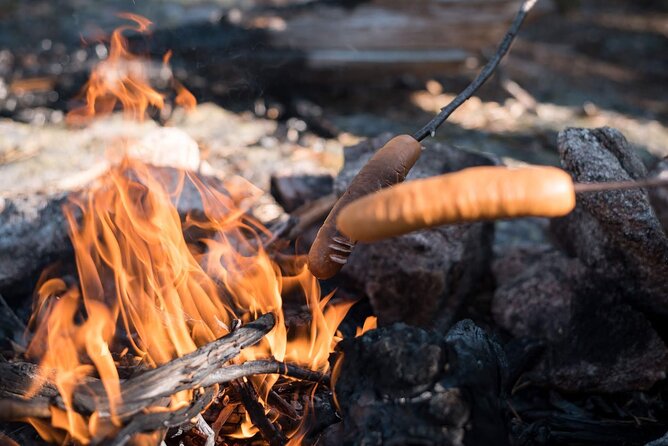 Arctic Midnight Sun Picnic from Rovaniemi - Key things to know before booking