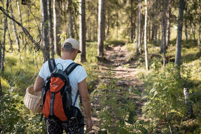 Arctic Midnight Sun Picnic from Rovaniemi - What the $114.60 price covers