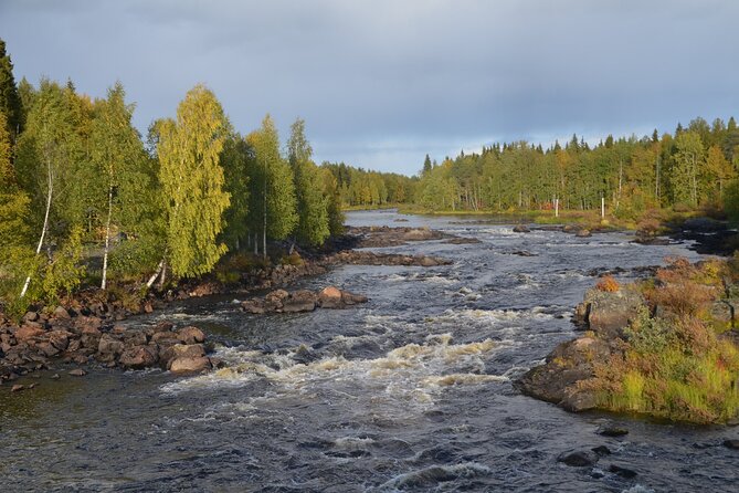 Arctic Wilderness Hike with Fire-making - Why this Rovaniemi wilderness outing feels different
