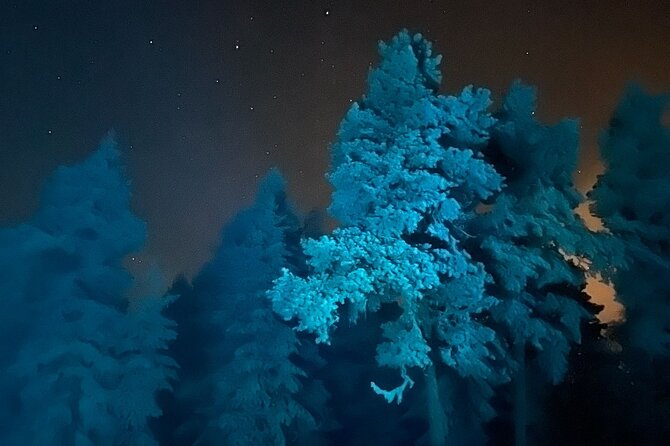 Aurora Borealis Dinner in a Glass Igloo - From Rovaniemi to the frozen lake