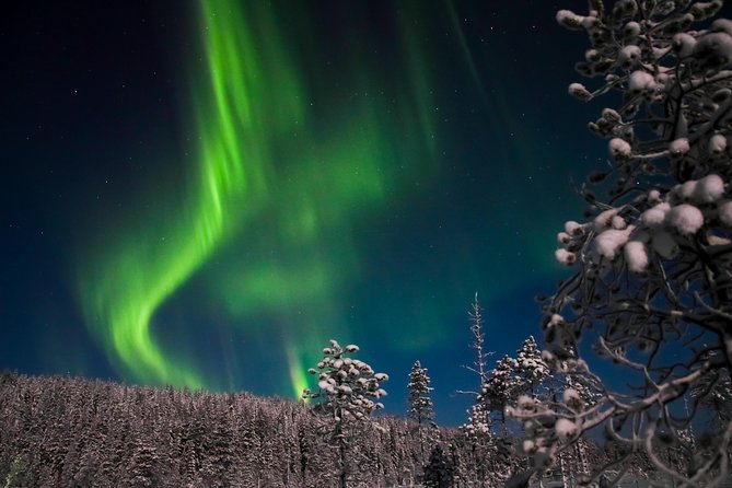Aurora Borealis Picnic in Rovaniemi - Waiting beside the fire