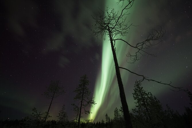 Aurora Borealis Picnic in Rovaniemi - Learning what you are looking at
