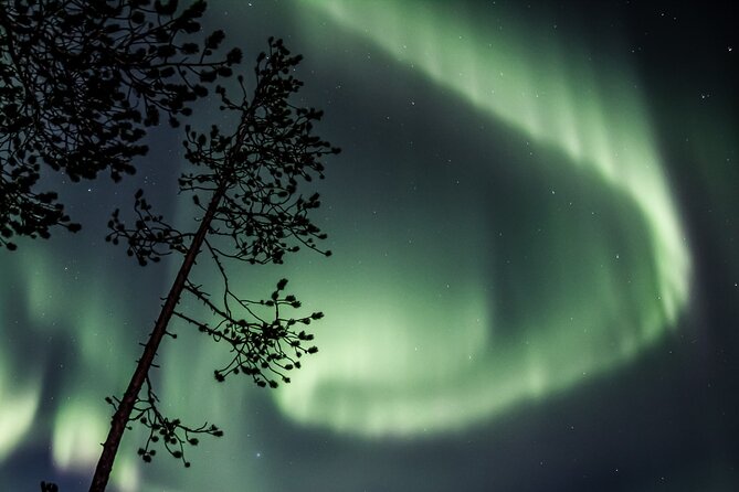 Aurora Borealis Picnic in Rovaniemi - Group size, guide quality, and atmosphere