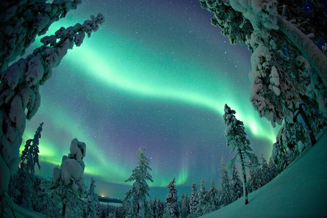 Aurora Borealis Picnic in Rovaniemi - Finding the viewing spot