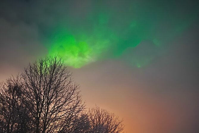 Aurora Hunt with BBQ in Rovaniemi - The 8:00 p.m. pickup from Rovaniemi