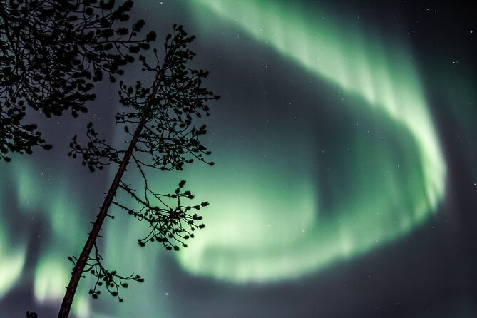 Aurora Hunting Photo Tour from Rovaniemi with Pickup - Safartica pickup, meeting point, and group size