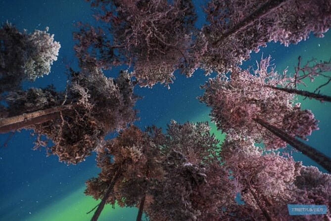 Aurora Photography Tour 3 HOURS - Warm drinks, cookies, and the cold factor