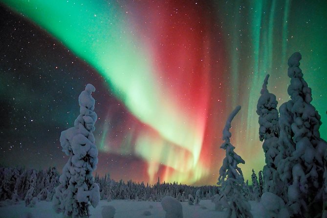 Auroras - Northern Lights Tours by Aurora Experts - Rovaniemi - Why the location matters more than the room