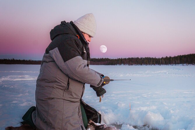 Authentic Reindeer Experience and Ice Fish with Lunch in the Wild - Meeting the reindeer in Lompolo