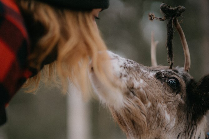 Authentic Reindeer Experience and Ice Fish with Lunch in the Wild - Fish soup and fire at Soma Hideout