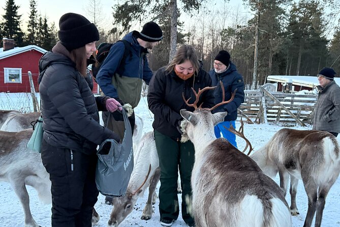 Authentic Reindeer Experience and Ice Fish with Lunch in the Wild - The strongest reasons to book