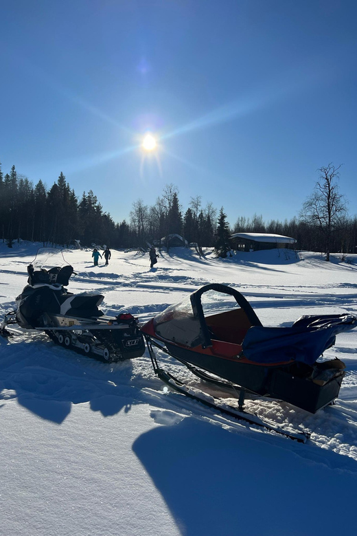 Authentic Reindeer Experience, Ice Fish & Lunch in the Wild - Meeting the reindeer at a family farm